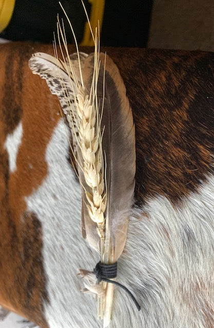 Feather/wheat collection